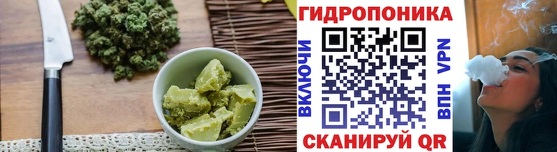 Canna-Cookies конопля где найти наркотики блэк спрут как войти Севастополь