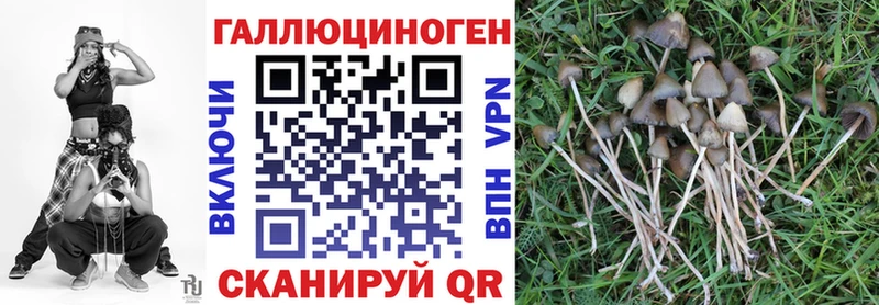 Псилоцибиновые грибы Psilocybe  Севастополь 