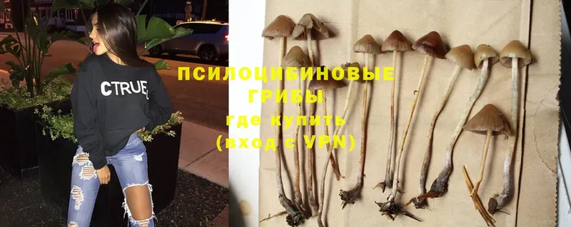 Псилоцибиновые грибы MAGIC MUSHROOMS  Севастополь 