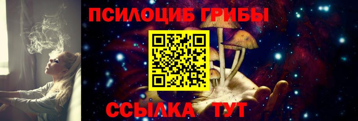 Севастополь  Псилоцибиновые грибы прущие грибы  Псилоцибиновые грибы Magic Shrooms  Вход с VPN 